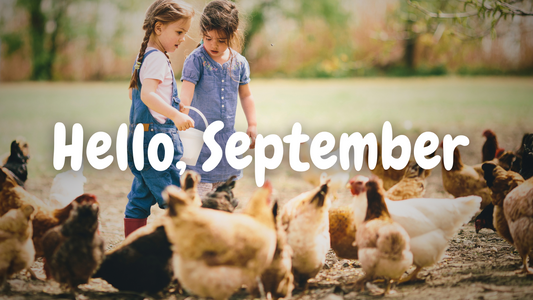 ✨ September Chicken Keeping Tips ✨