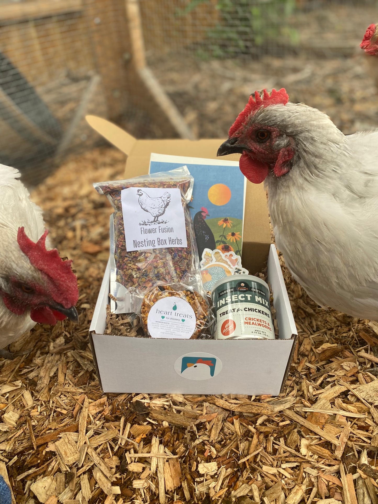 The Mini Flock Box | Subscription Box For Chickens | Gift Box For Small Flocks