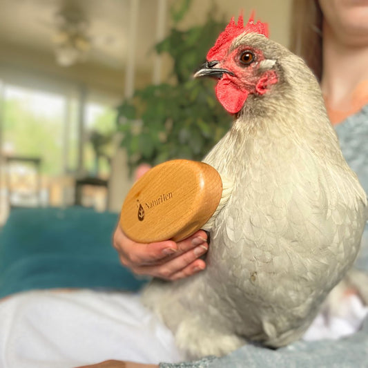 Chicken Feather Brush | Extra Soft Brush For Pet Chickens | NaturHen