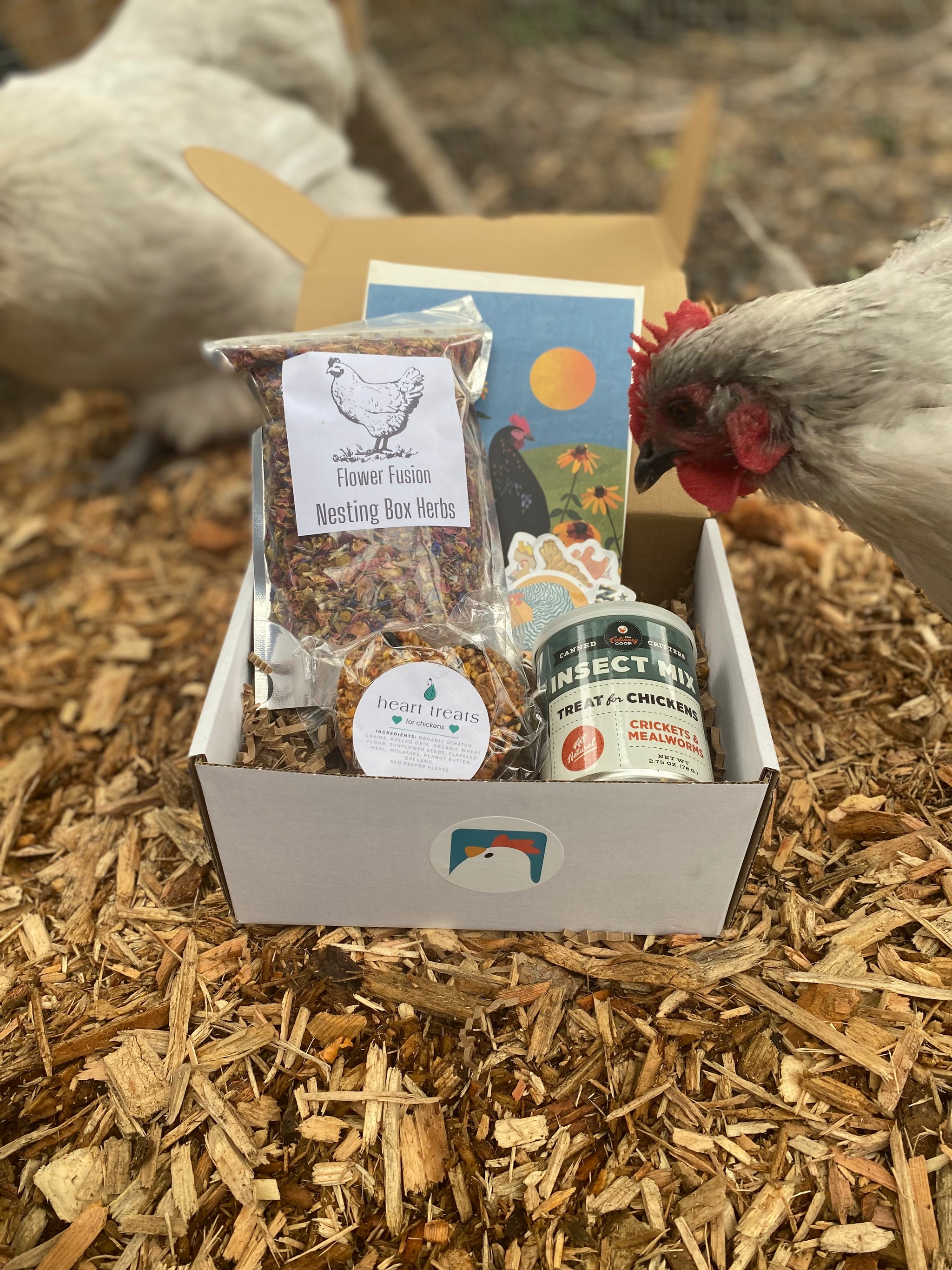 The Mini Flock Box | Subscription Box For Chickens | Gift Box For Small Flocks