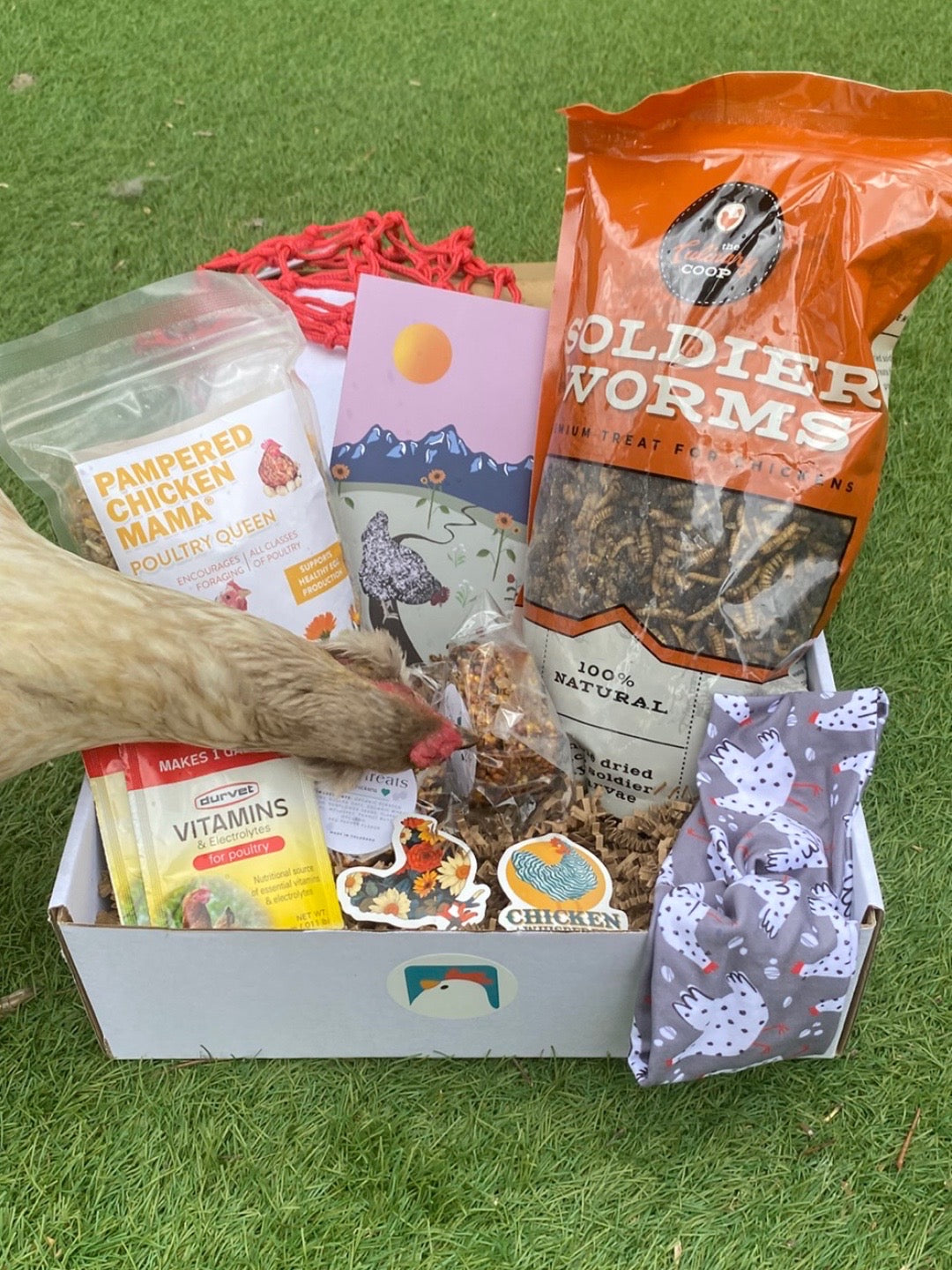 IMG_5704.jpeg__PID:b52feae9-997c-46e9-bcd0-afeac56ad3ec