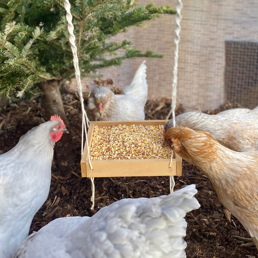 Macrame Hanging Chicken Feeder | Macrame Coop Decor | Hanging Bird Feeder For Poultry & Other Birds